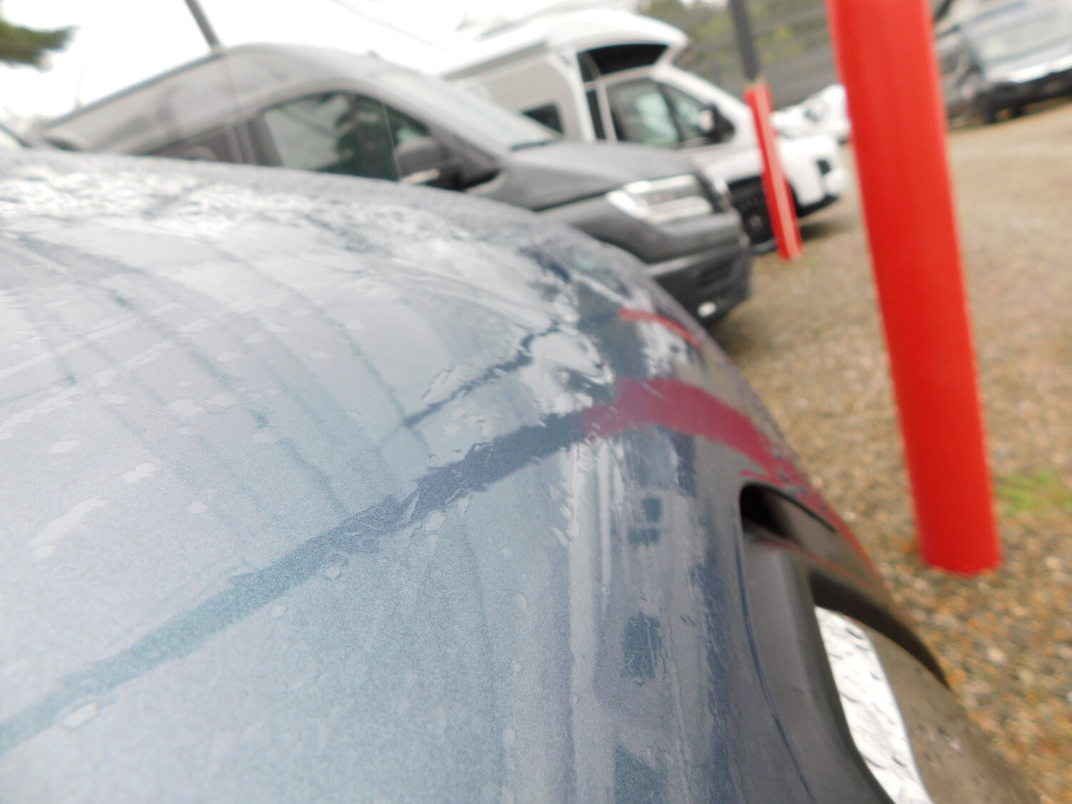 Bürstner Delfin Limited C 621 ---EINZIGARTIG---Schlafdach - Bild 42