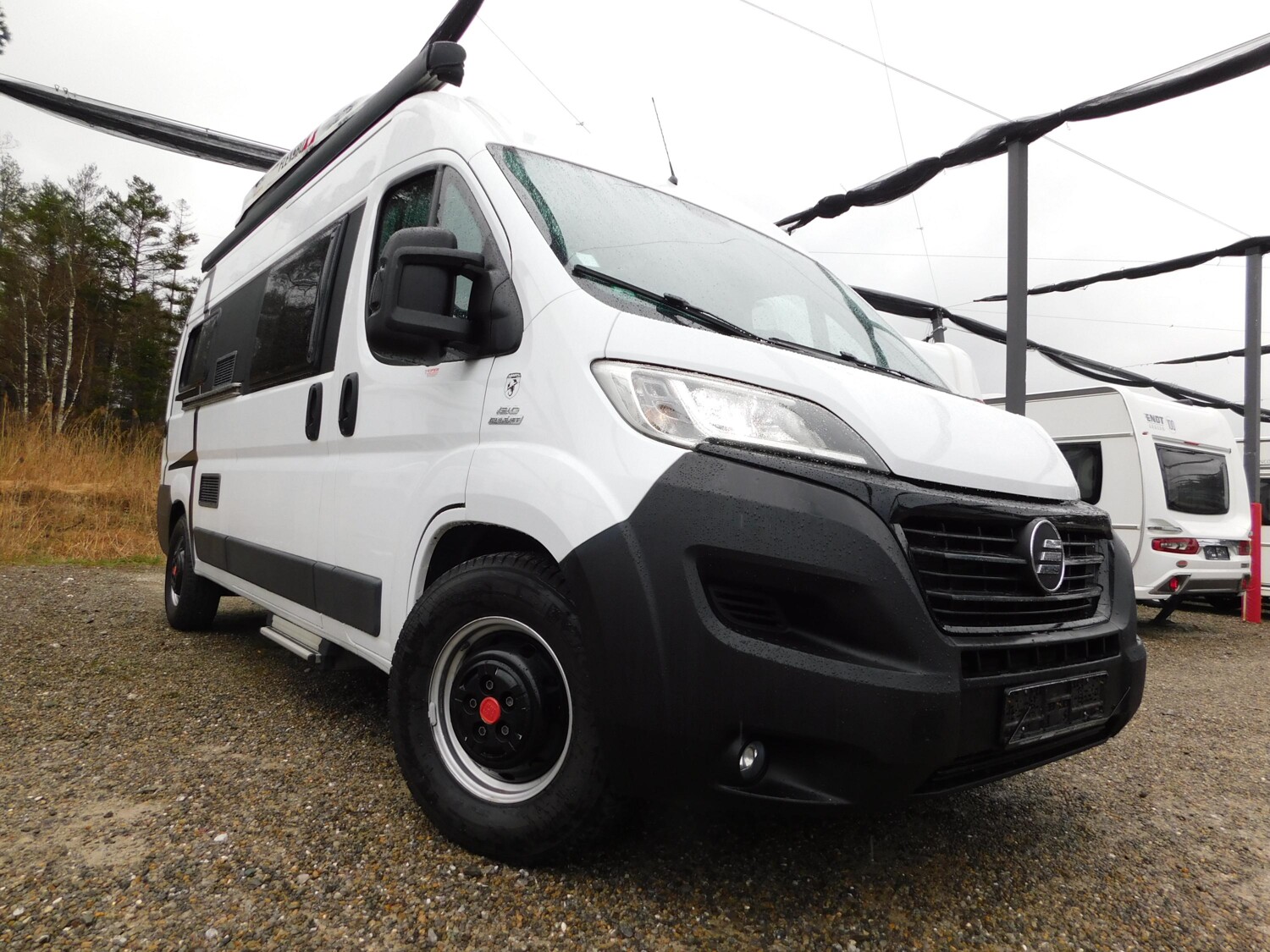 Globecar Globescout Fiat Verkauf im Kundenauftrag