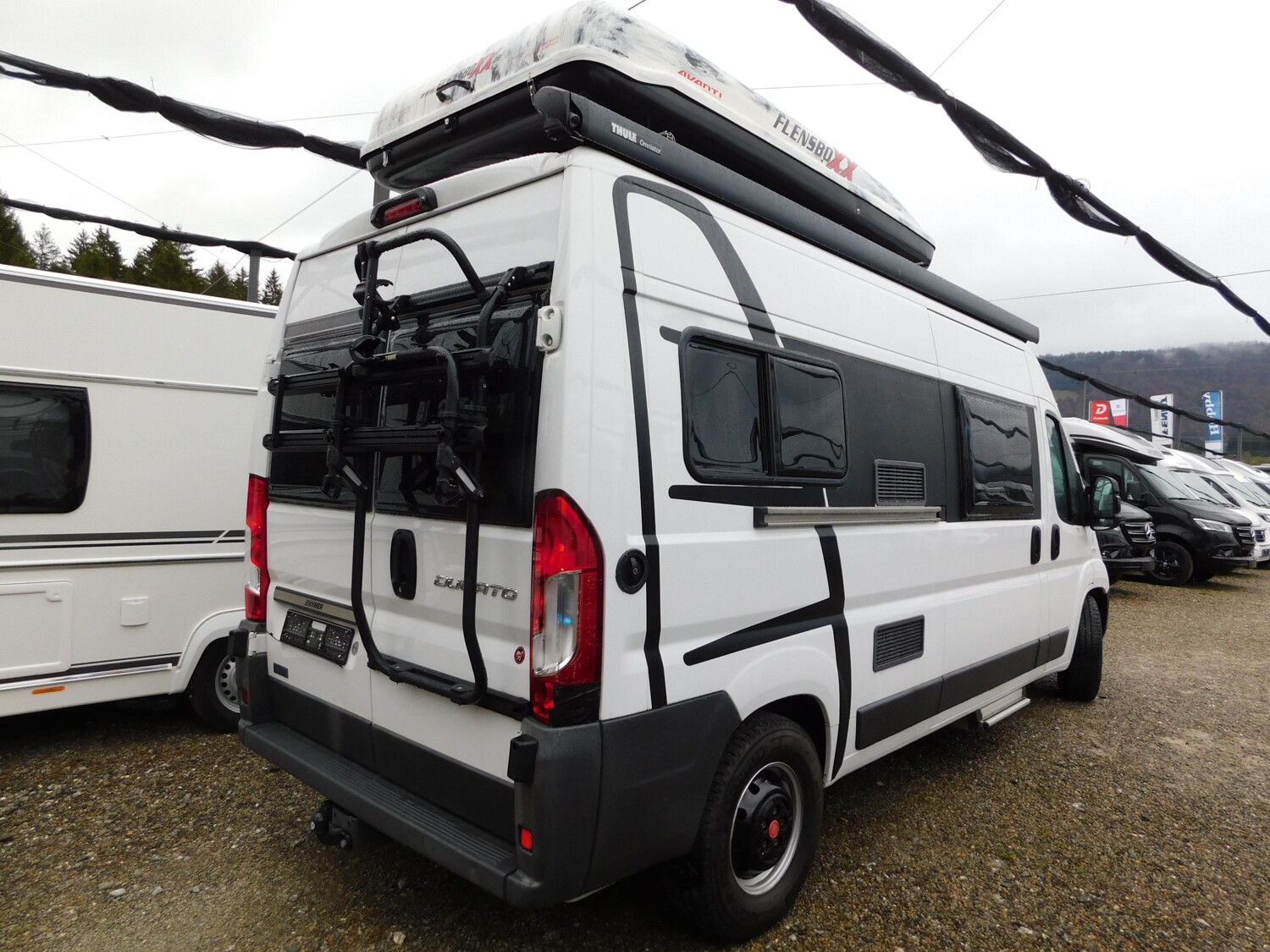 Globecar Globescout Fiat Verkauf im Kundenauftrag - Bild 2