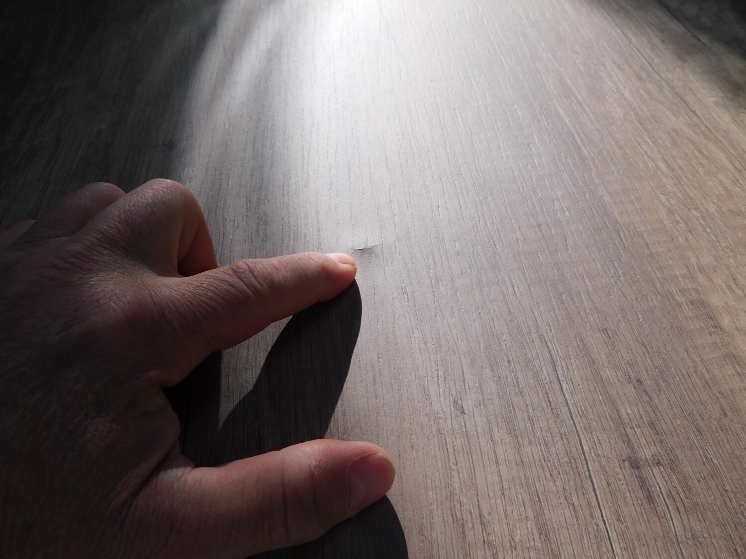 Hobby Beachy 450 Neuss-Edition - Hobby Caravan 2025 - Bild 9 Hobby Beachy 450 Neuss-Edition - Bild 9